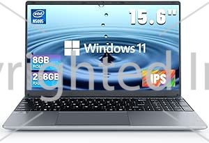 Mini ordinateur portable 15.6 Windows11 Intel N5095 CPU avec